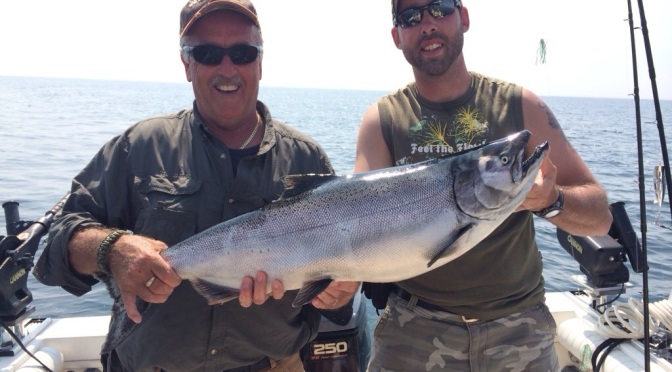 A few Lake Ontario salmon